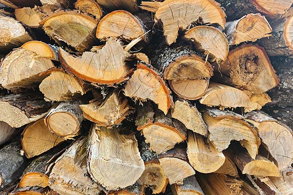 Close-up of stacked firewood logs for the wood-fired sauna